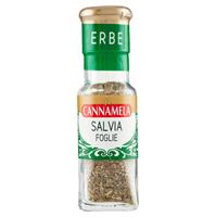 SALVIA A FOGLIE gr.8x6 CANNAMELA